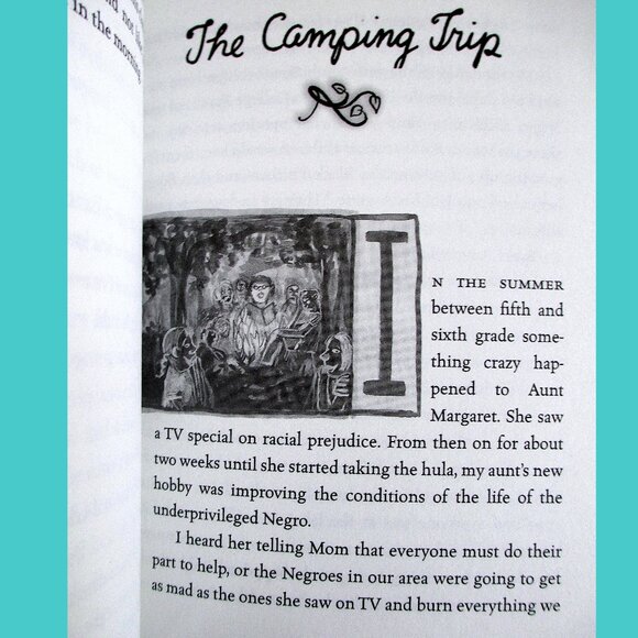 Book: The Good Times are Killing Me, written and illustrated by Lynda Barry - Picture 6 of 10
